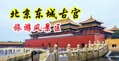 草逼出水网站中国北京-东城古宫旅游风景区